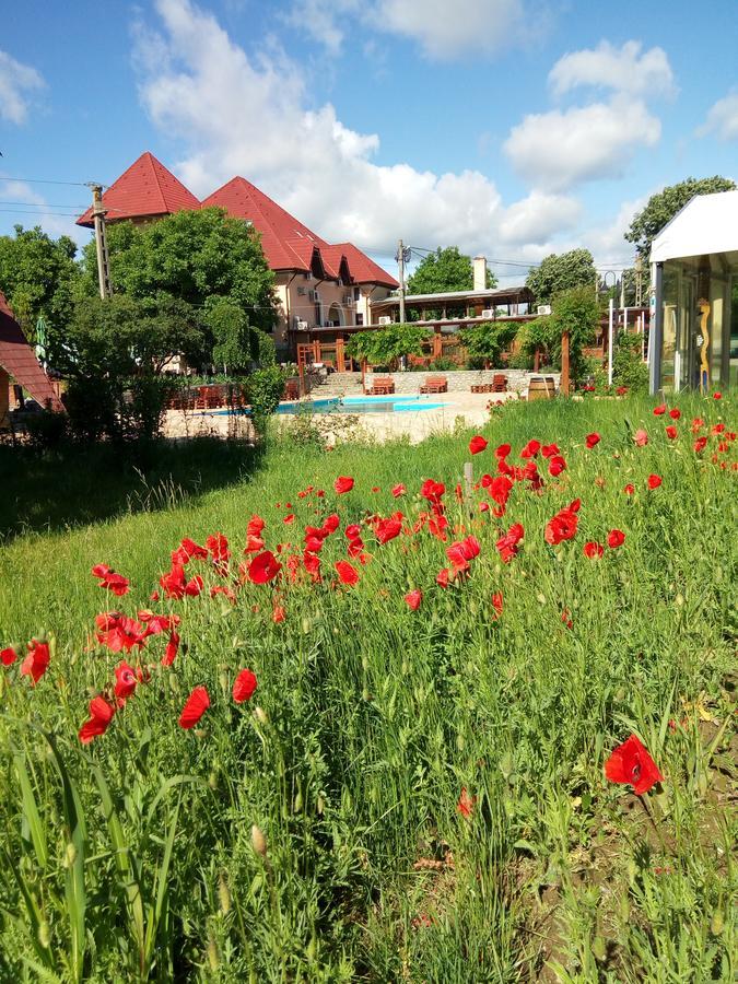 Casa Danielescu Hotel Targu Jiu Bagian luar foto